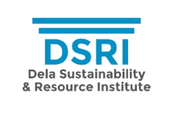 Screenshot of the Dela Institute website